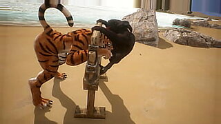 tiger show thai